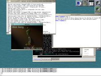 MPlayer on OpenDarwin