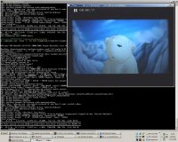 MPlayer on Windows XP